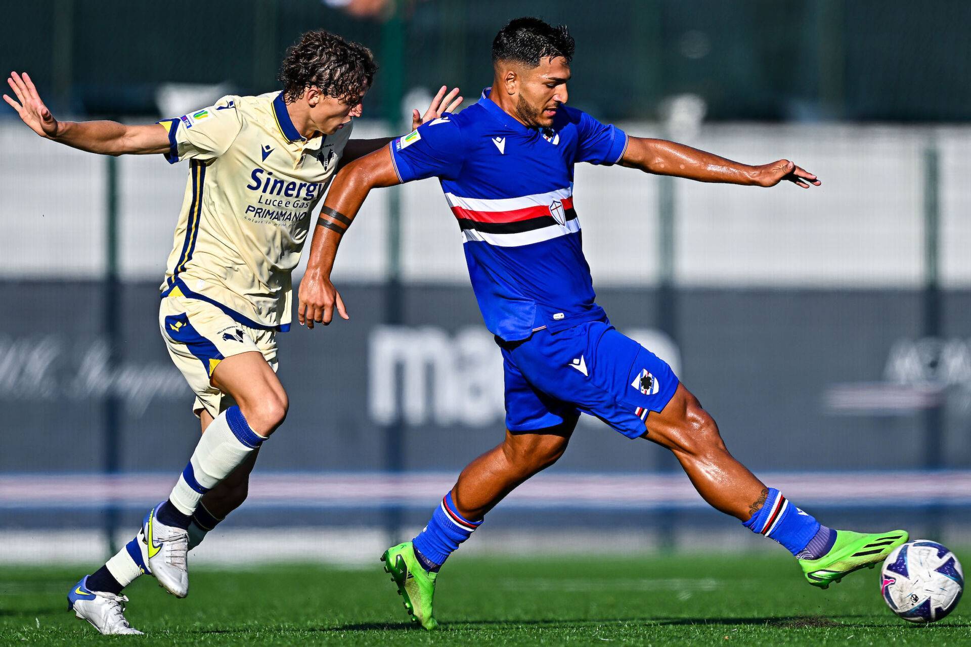 中国男篮和尤文图特男篮转战西安 中国男篮和尤文图特男篮转战西安